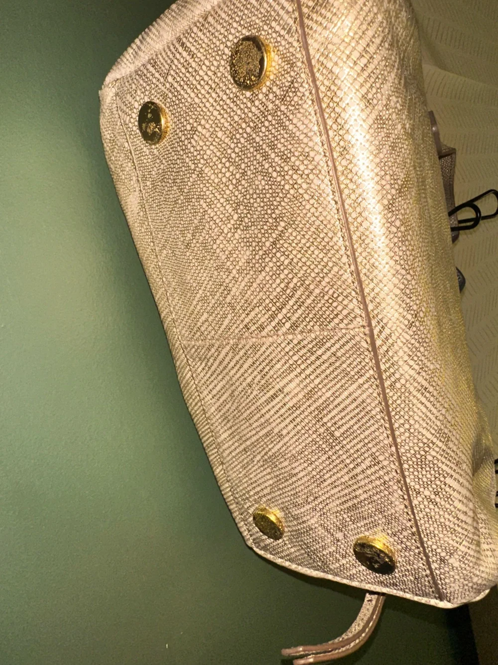 Fossil material genuine
